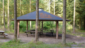 Søttrup Plantage